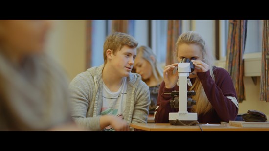 Reklamefilm